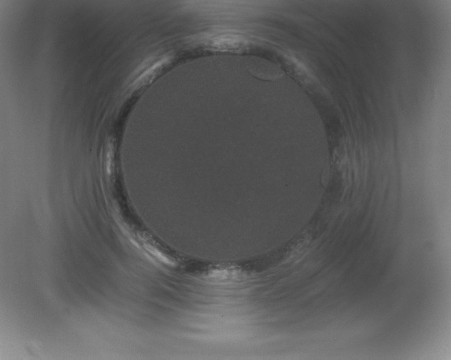 X0000081330744200701181954