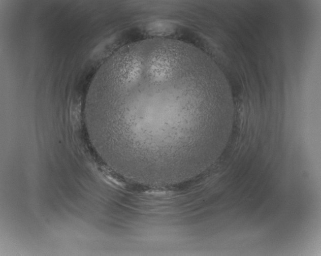 X0000081330745200701181954