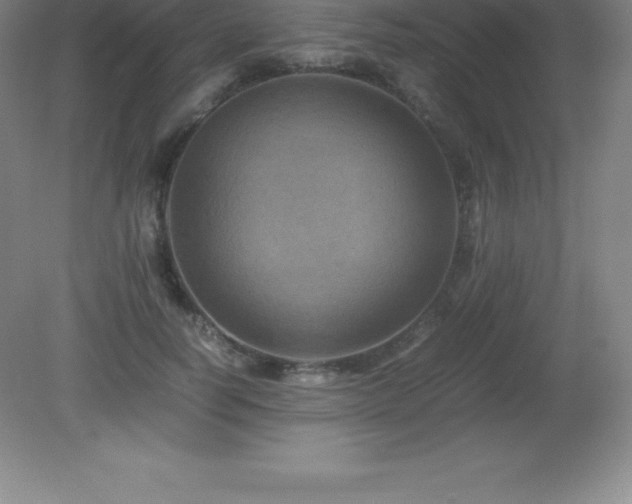 X0000081330746200701181954