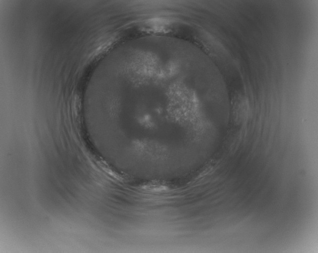 X0000081330747200701181954