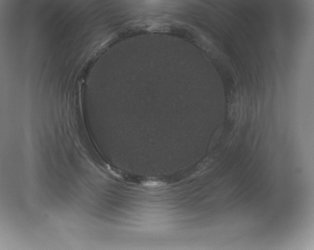 X0000081330748200701181954