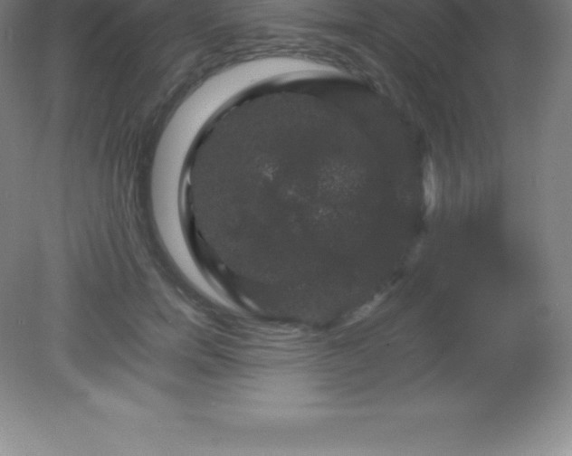 X0000081330750200701181954