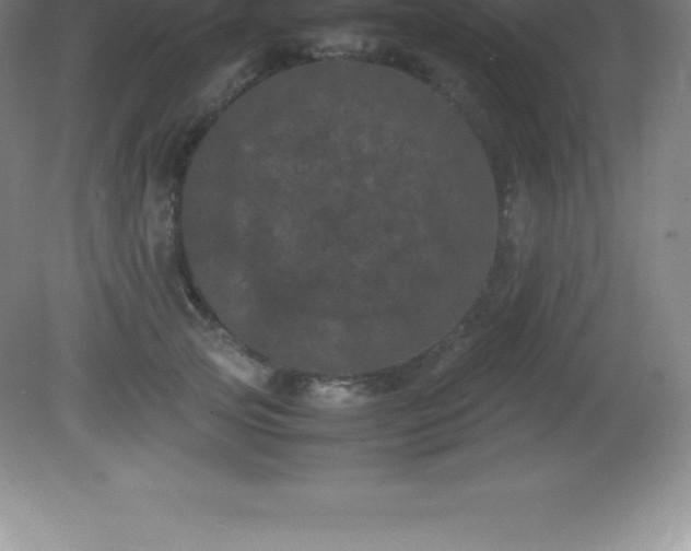 X0000081330753200701181954