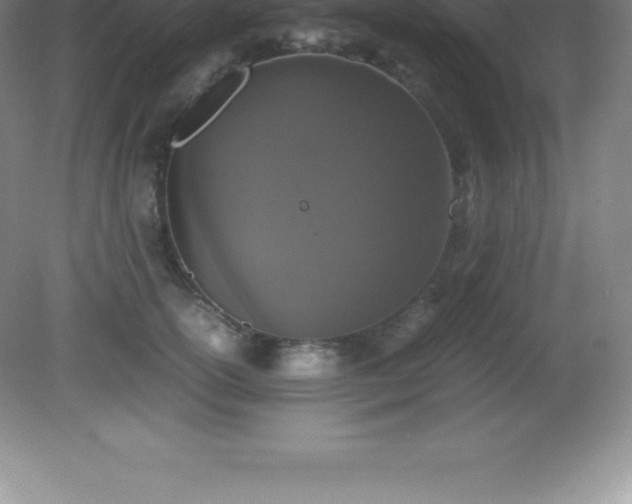 X0000081330754200701181954