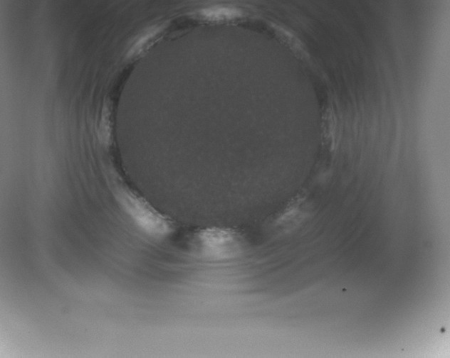 X0000081330762200701181954