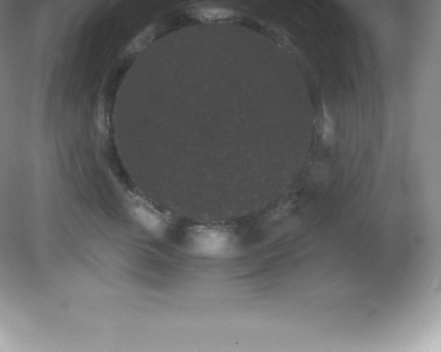 X0000081330763200701181954