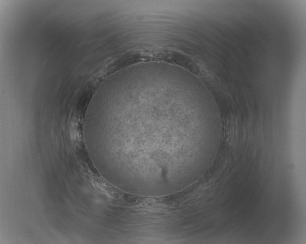 X0000081330770200701181953