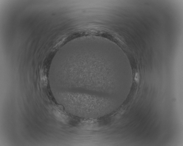X0000081330771200701181953