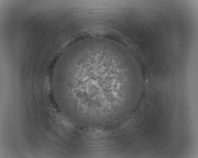 X0000081330772200701181953