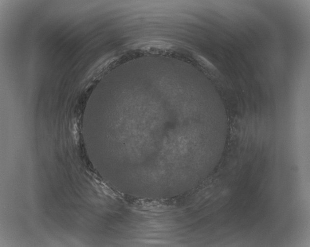 X0000081330774200701181953