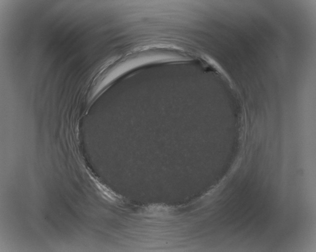 X0000081330777200701181953