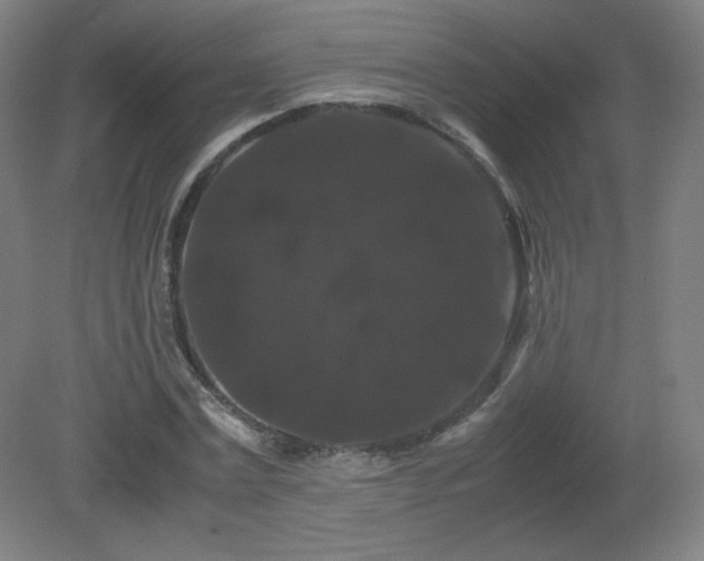 X0000081330779200701181953