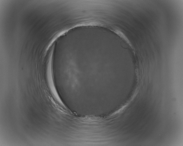 X0000081330781200701181953