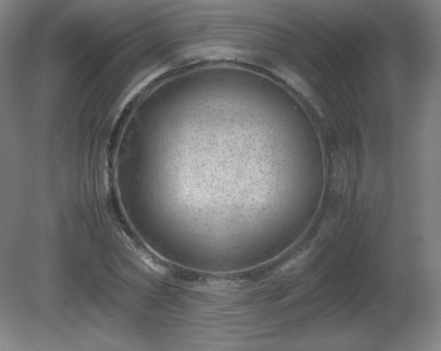 X0000081330782200701181953