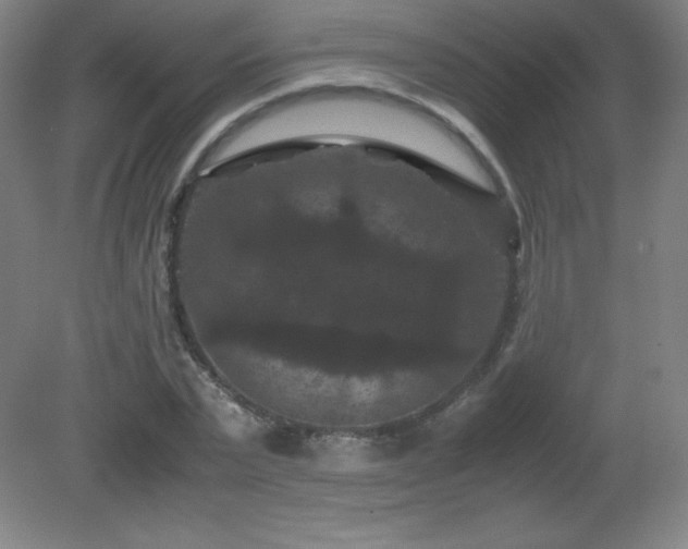 X0000081330783200701181953