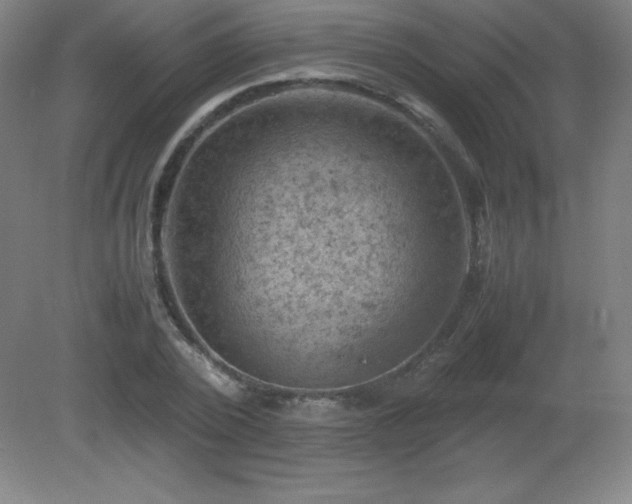 X0000081330784200701181953