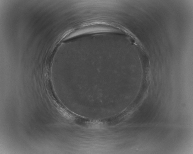 X0000081330785200701181953