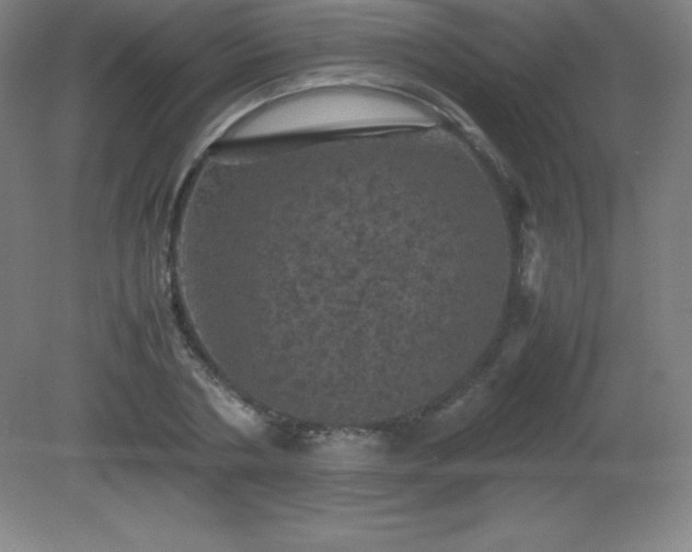X0000081330786200701181953