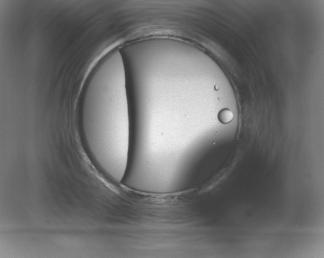 X0000081330790200701181953
