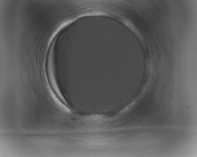 X0000081330797200701181953