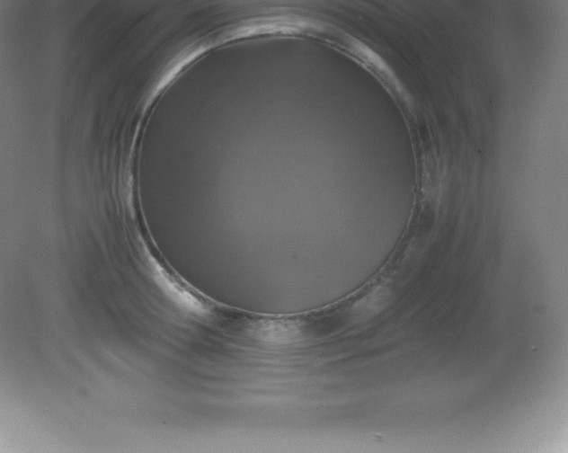 X0000081330802200701181953