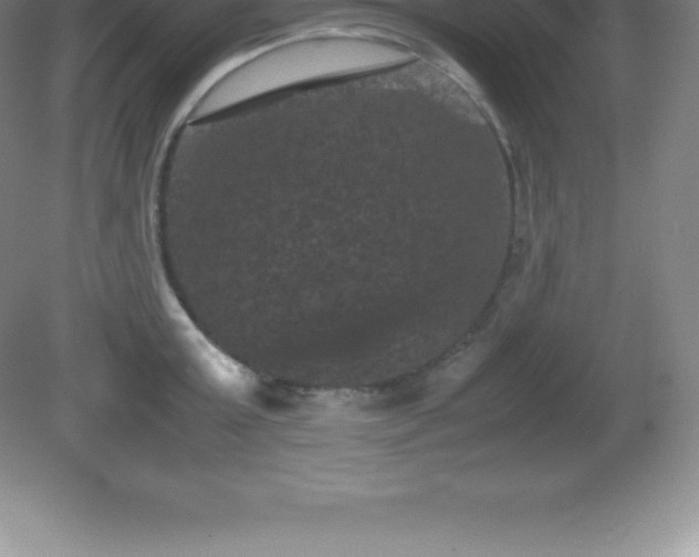 X0000081330803200701181953