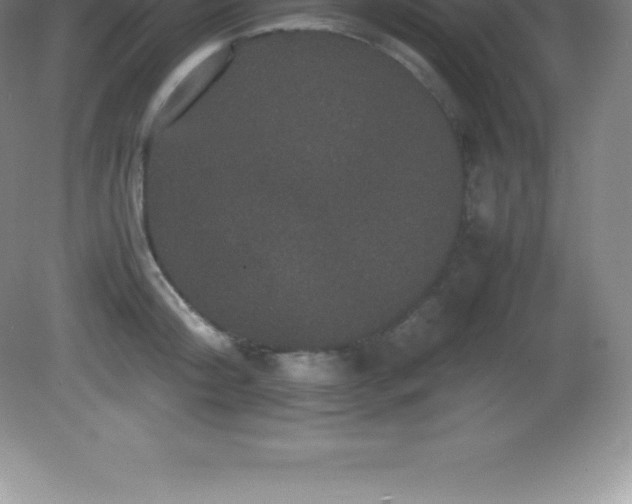 X0000081330804200701181953
