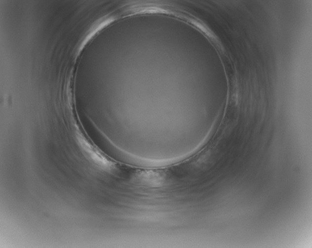 X0000081330806200701181953