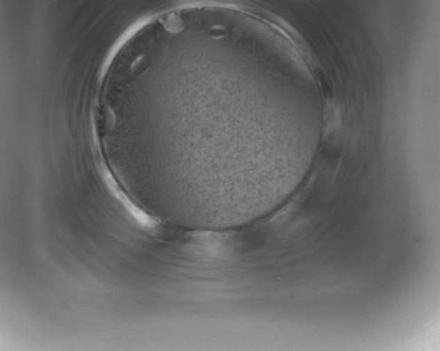 X0000081330812200701181953