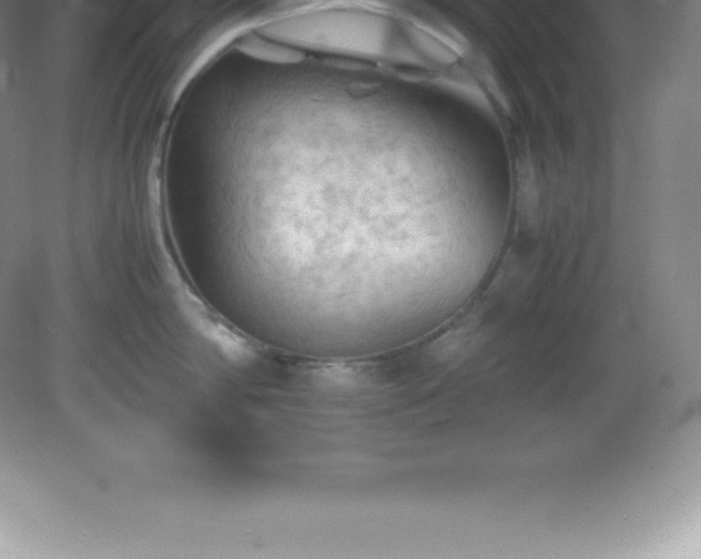 X0000081330814200701181953