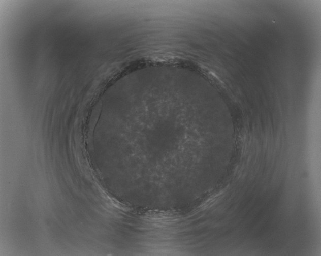 X0000081330817200701181952