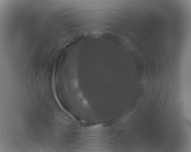 X0000081330818200701181952