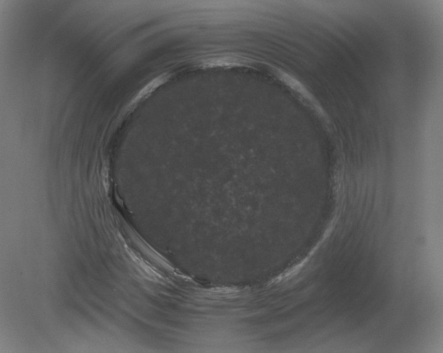 X0000081330825200701181952