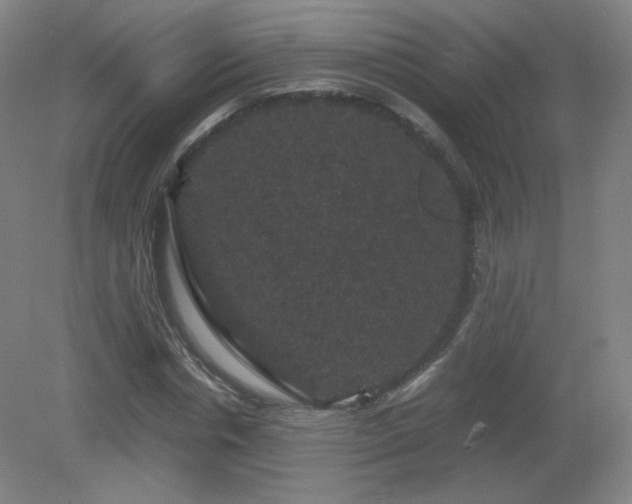 X0000081330826200701181952