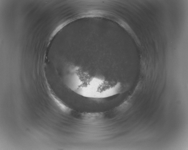 X0000081330842200701181952