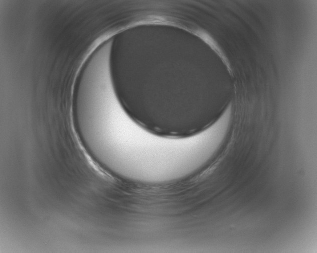 X0000081330845200701181952