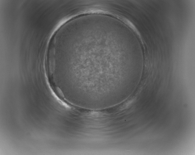 X0000081330847200701181952