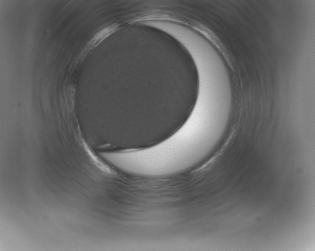 X0000081330849200701181952