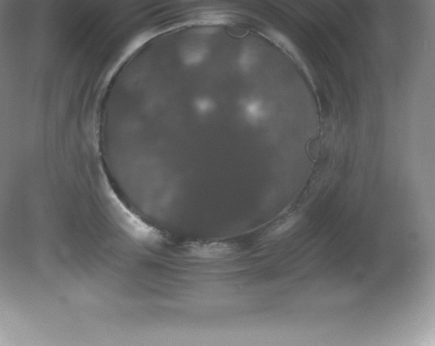 X0000081330851200701181952