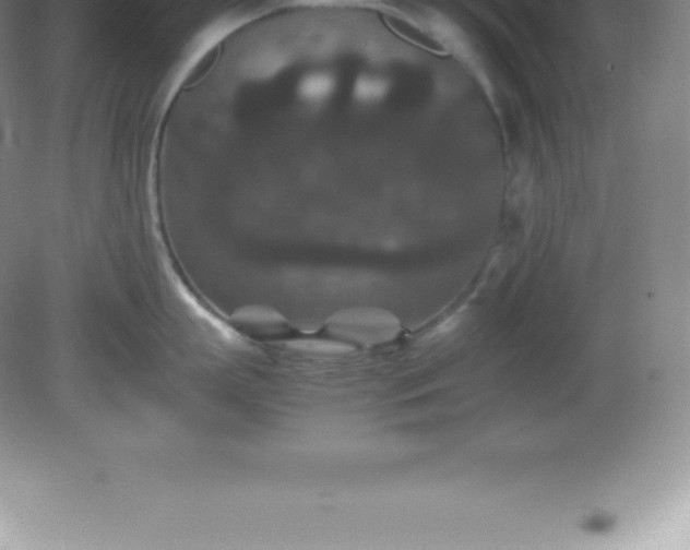 X0000081330863200701181953