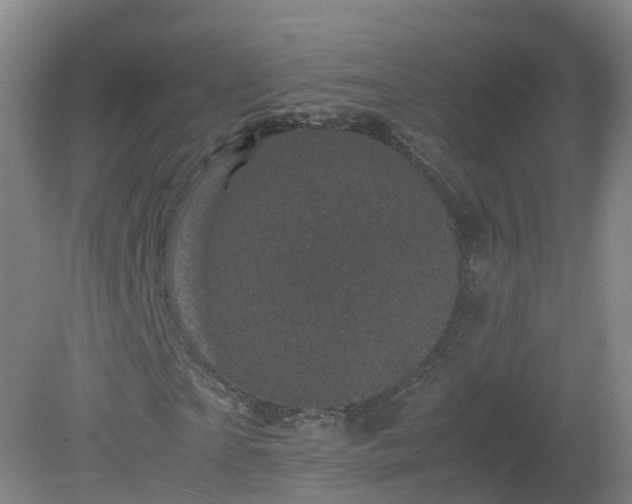 X0000081330865200701181952