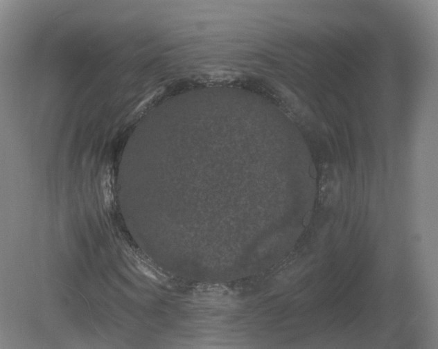 X0000081330866200701181952