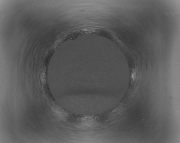 X0000081330867200701181952