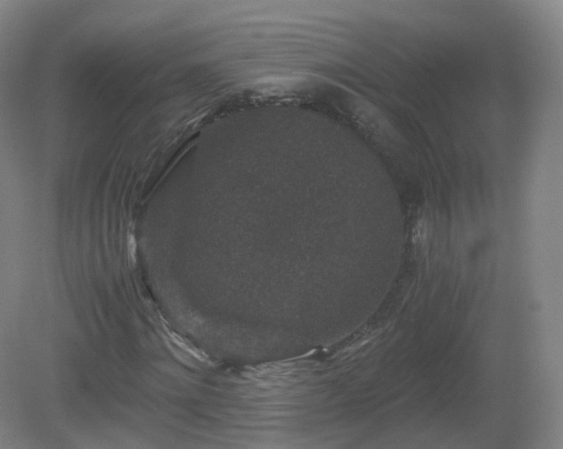 X0000081330868200701181952