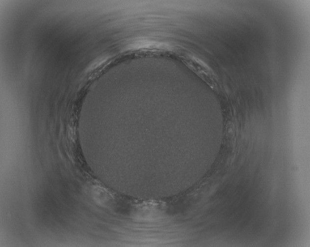 X0000081330869200701181952
