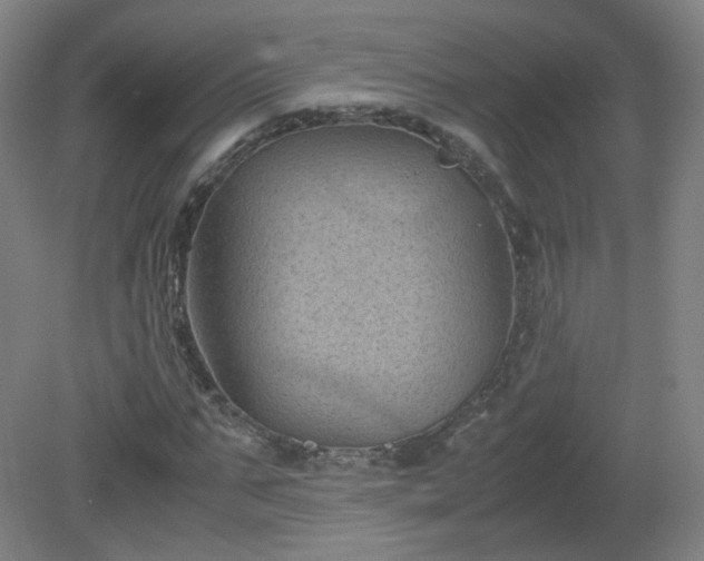 X0000081330871200701181952