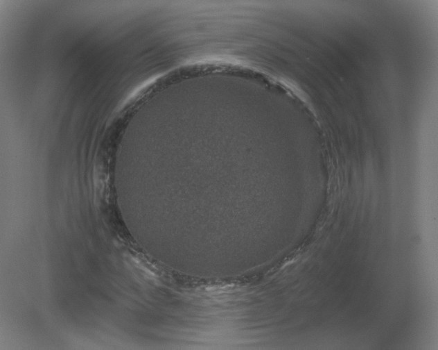 X0000081330872200701181952