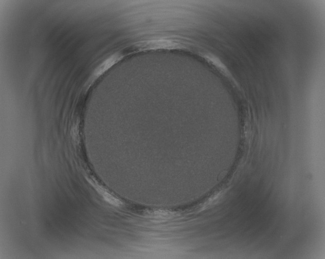 X0000081330873200701181952