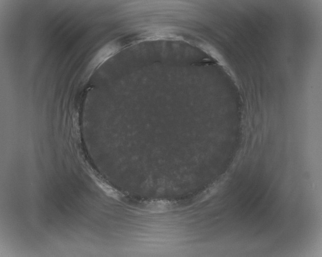 X0000081330881200701181951