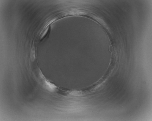 X0000081330889200701181951